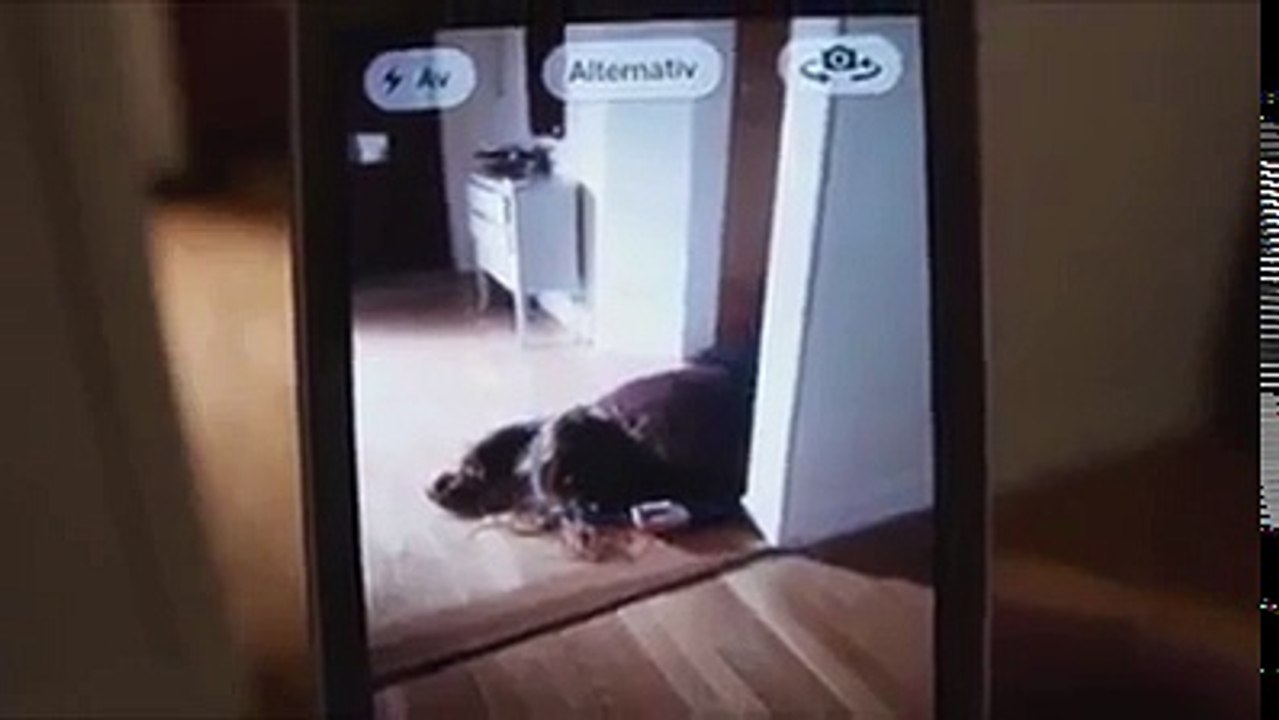Horror And Funny Video
