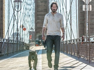 Cinéma - John Wick 2 et le retour en force de Keanu Reeves
