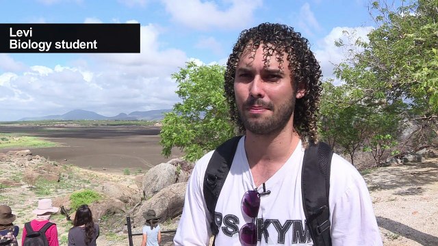 Turtles killed as drought causes Brazil lake to dry up