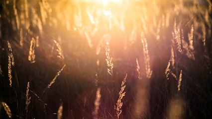 Abraham Hicks 2017 - A desire discussion