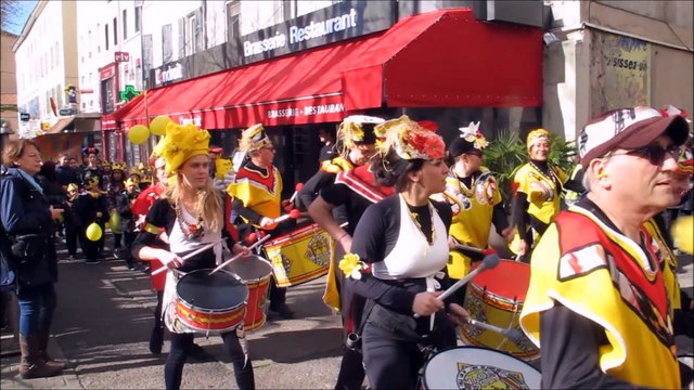 Carnaval dans les rues de Vienne - 24 février 2017