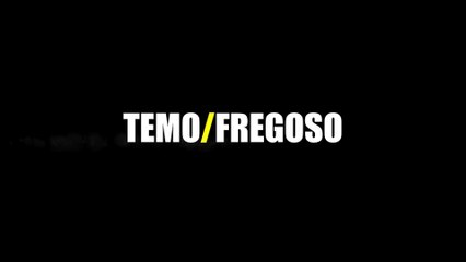 Temo Intro 2017