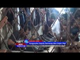 Kisah Pengusaha Sepatu di Cibaduyut, Bandung - NET24