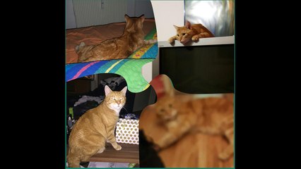 neue Bilder unserer Tiere Februar 2017