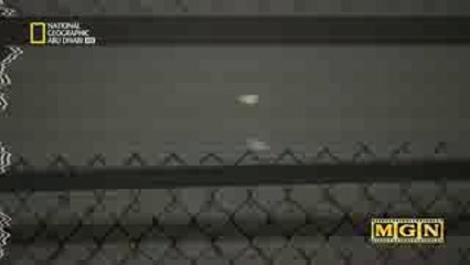 وثائقي غزو الأرض  الأجسام الغامضة الحلقة 5