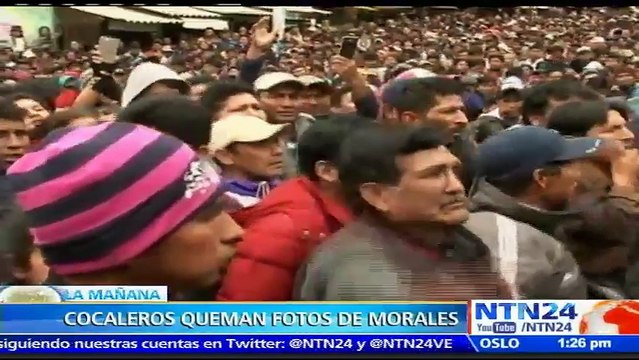 Productores de hoja de coca en Bolivia se dividen ante propuesta de Gobierno de limitar las tierras para el cultivo de l