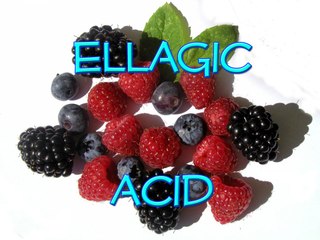 Ellagic Acid and Brain Health