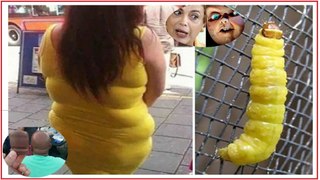 50 Most Hilarious Coincidences of All Time - Funny coincidence & Right moment pics compilation