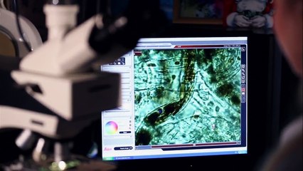 Кожа | Основной элемент