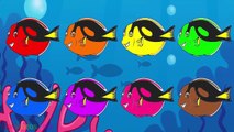 Aprender los Colores con la Búsqueda de Dory Blue Tang Nemo Pez Tiburón Páginas para Colorear 25 De Play Doh de Pescado