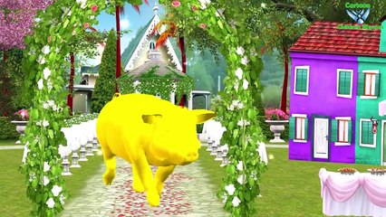Learn English Birds Names - 3D Animation Preschool Nursery rhymes for children