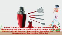 Vremi 5 Piece Cocktail Shaker Set  Bartender Kit Stainless Steel Martini Shaker and cfca8f4d