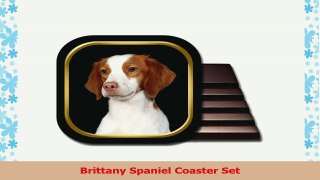 Brittany Spaniel Coaster Set 82930cf1