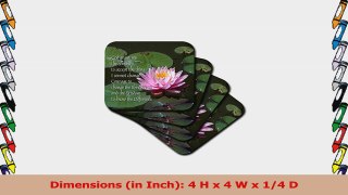 3dRose cst49304 Serenity Prayer Ceramic Tile Coasters Set of 8 fb258808