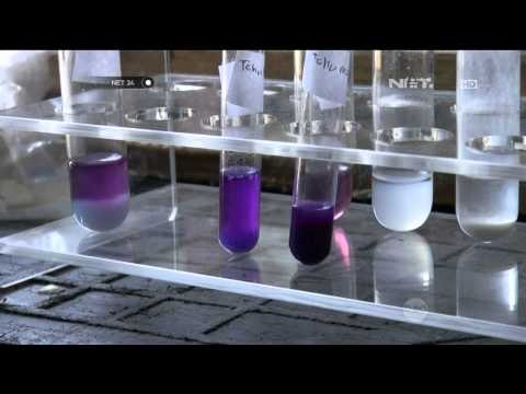 BPOM Gerebek Pabrik Tahu Berformalin Beromzet Puluhan Juta Rupiah di Bogor - NET24