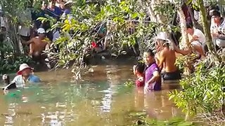 Fish weighing 150kg, 2m in western Vietnam