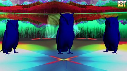 Owl Song | Nursery Rhymes Songs & Kids Song Collection | Preschool Baby Learning | Little