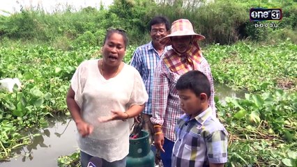 จับต้นชนปลาย | 20 พ.ย.59 | ช่อง one 31