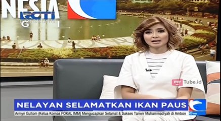 Aksi Heroik Nelayan Selamatkan Ikan Paus