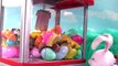 SECRET LIFE OF PETS Surprise Toys Claw Machine Game Challenge | Fashems Mashems Blind Bags