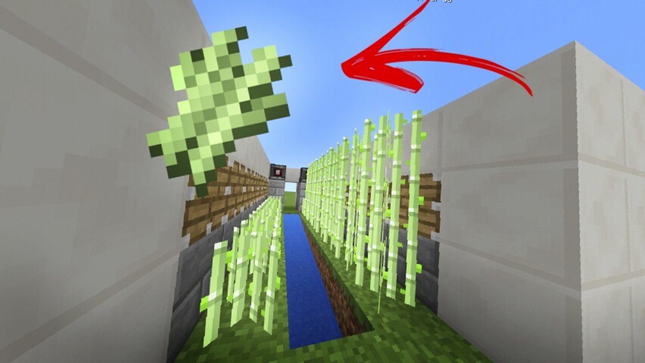 COMO FAZER UMA FARM DE CANA DE AÇUCAR AUTÓMATICA NO MINECRAFT PE