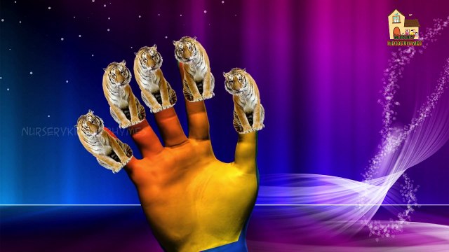 Tiger Finger Family | Lion Cheetah 3D Animated Finger Family Rhymes For Babies | Animals C
