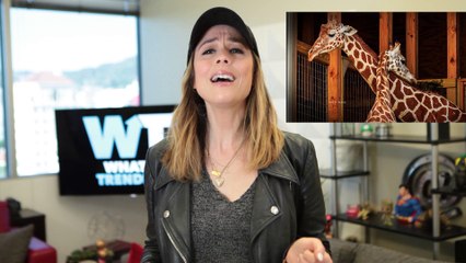 NAKED Giraffe SHOCKS The Web! | What's Trending Now