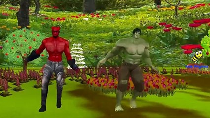 Finger Family Animals Cartoon Collection Learn Animals For Babies Nursery Rhymes Children