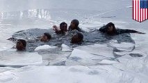 Kolam beku tiba-tiba retak, sejumlah remaja jatuh ke dalam air dingin - Tomonews