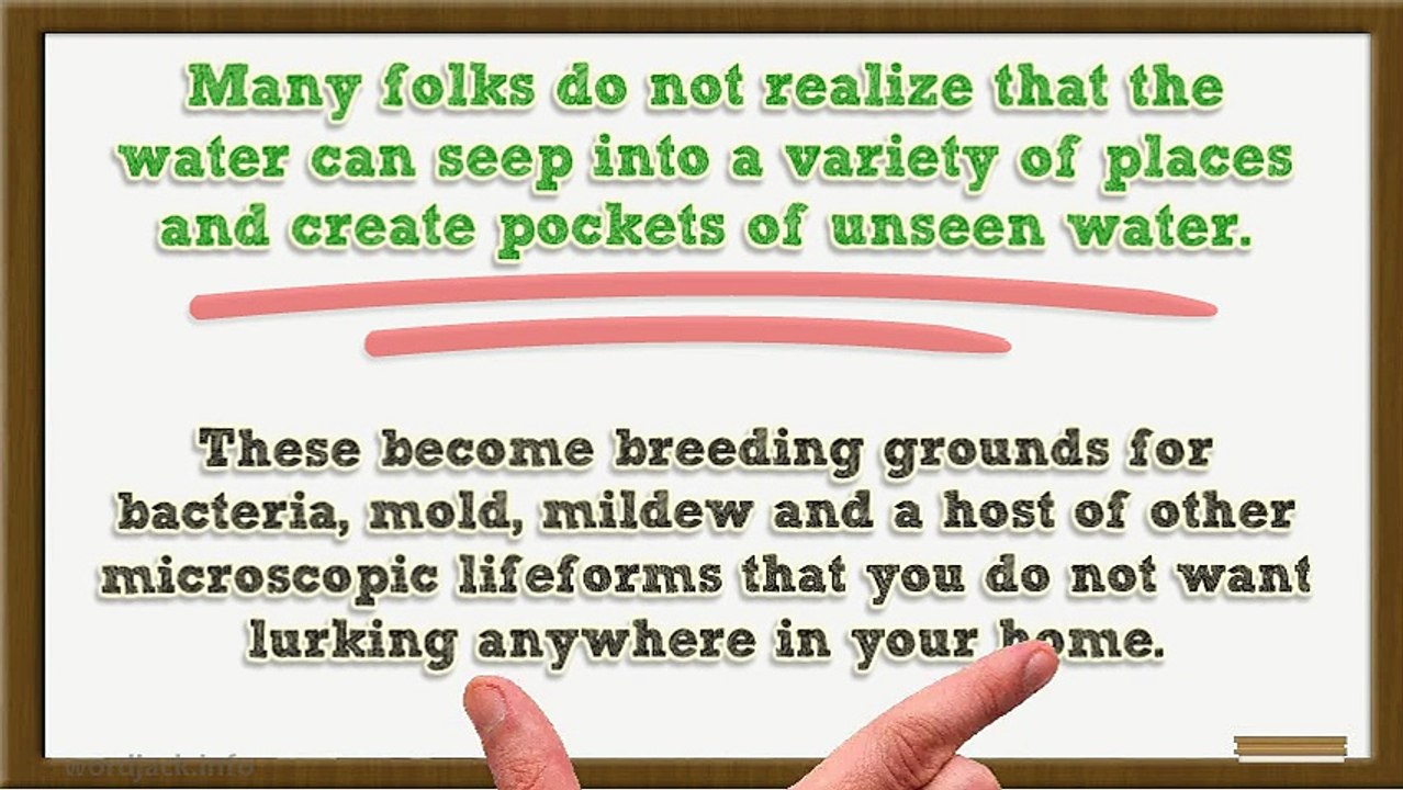 What to Do About Water Damage to Your Home or Office Building