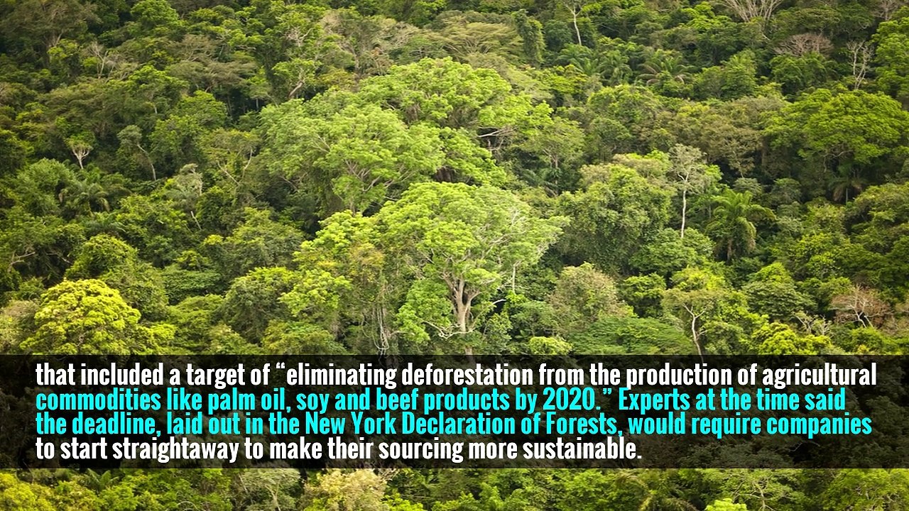 The reports of fresh deforestation come despite a landmark deal signed three years ago by Cargill and other companies