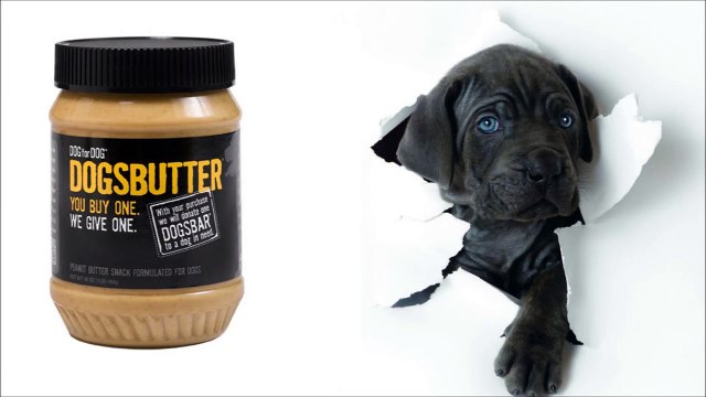 Natural Dog Company, Natural and Organic Dog Products