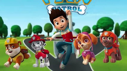 Finger Family Paw Patrol | Nursery Rhymes for Children & Kids Songs