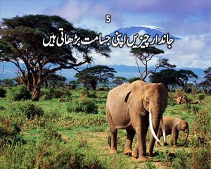 1. living, non living