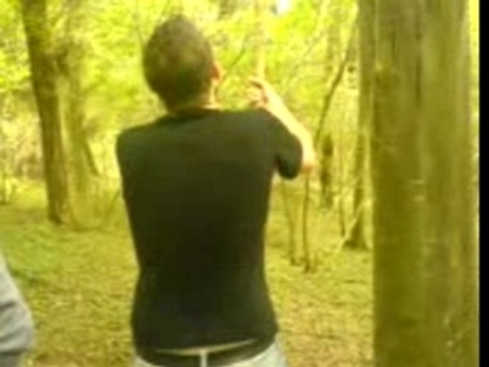 Tarzan (toto)