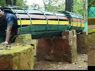 Jungle Adventure at Farm House India - Ajit Patel Sanda