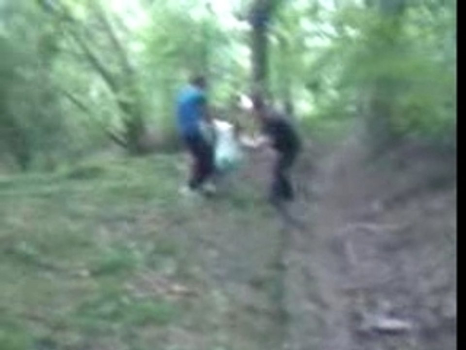 Tarzan (manu)
