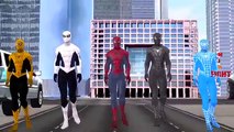 Spiderman vs Iron Man vs Superman vs Hulk - Real Life Superhero Fight - Death Match!