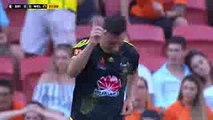 Shane Smeltz Goal - Brisbane Roar FC vs Wellington Phoenix 0-1 Australian A League 25.02.2017 (HD)