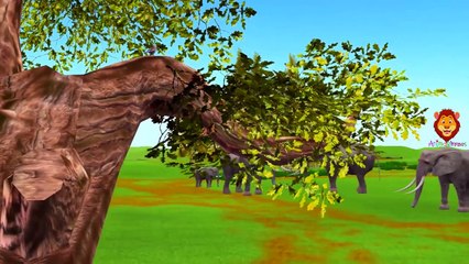 Elephant and Sparrow Funny 3D Animation Video For Kids | Elephant Vs Lion Short Movie For