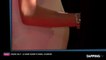 César 2017 : Amal Clooney affiche un joli ventre rebondi sur le tapis rouge (Exclu vidéo)