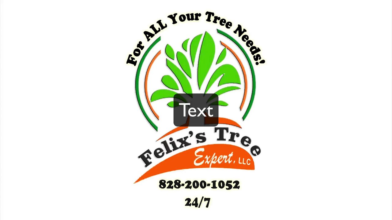 Tree Removal Cashiers NC | Cashiers NC Tree Removal | Cashiers NC Tree Trimming Services