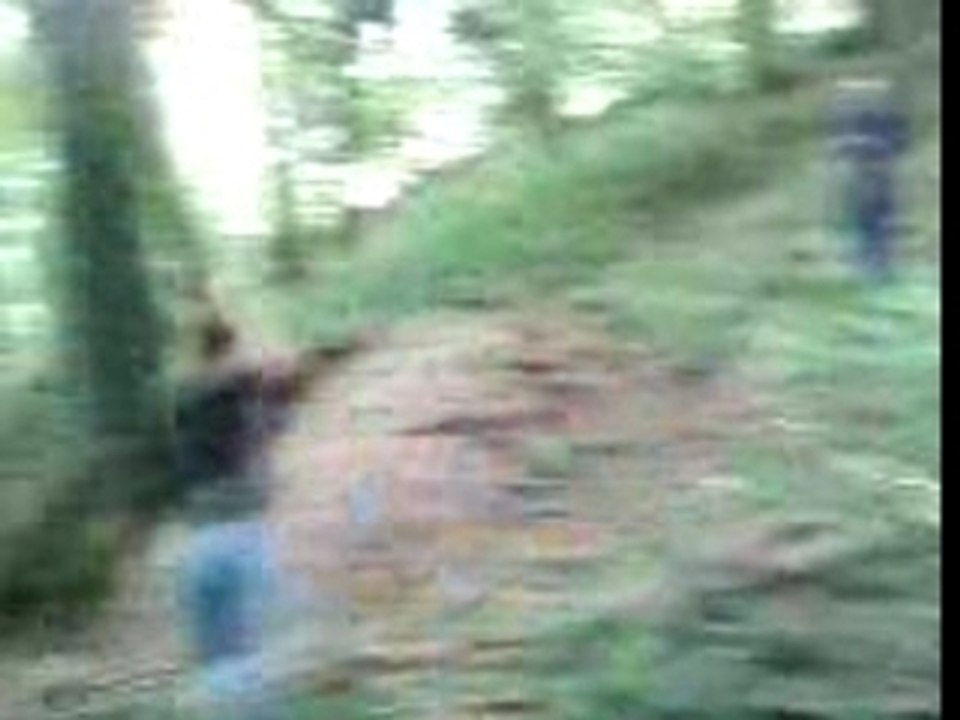 Tarzan (Mat)