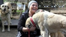 Öğretmenliği Bıraktı, Veterinerlik Eğitimi Aldı, Kurduğu Barınakta 400 Köpeğe Bakıyor