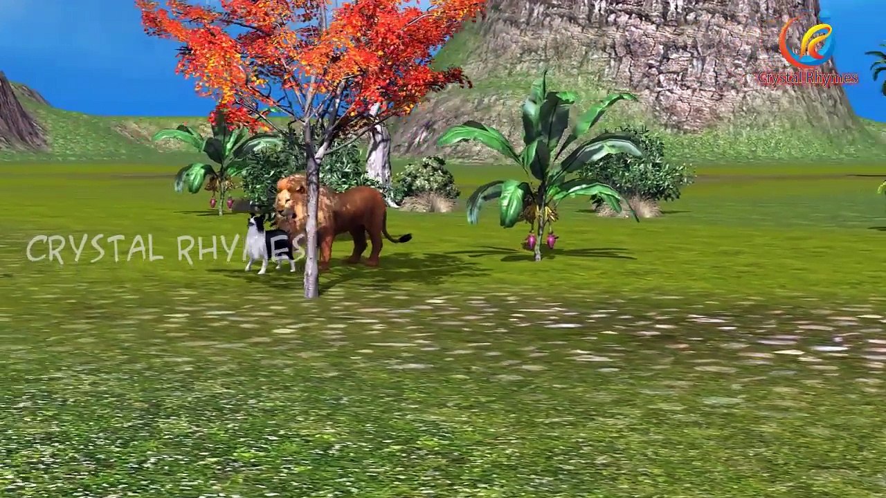 Gorilla VS Dragon Finger family 3d rhyme | Nursery Children Finger Family song