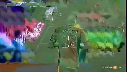 Brandon Borrello Goal - Brisbane Roar vs Wellington Phoenix 1-2   25.02.2017 (HD)
