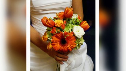 Fresh Cut Flowers Wholesale - www.wholeblossoms.com