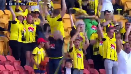 Brisbane Roar vs Wellington Phoenix 1-2 All Goals  25.02.2017 (HD)