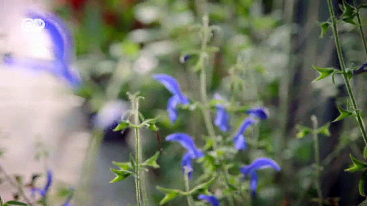 Der Spezialist der Nasen und Düfte | Projekt Zukunft