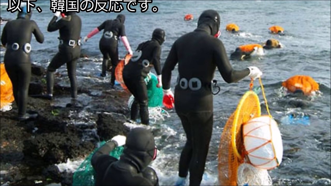 【韓国の反応】日本に勝ったニダ！海女文化は韓国のものニダ！→ 日本「ユネスコ登録より後継者問題の方が大事！」-IiuDfrH72E8